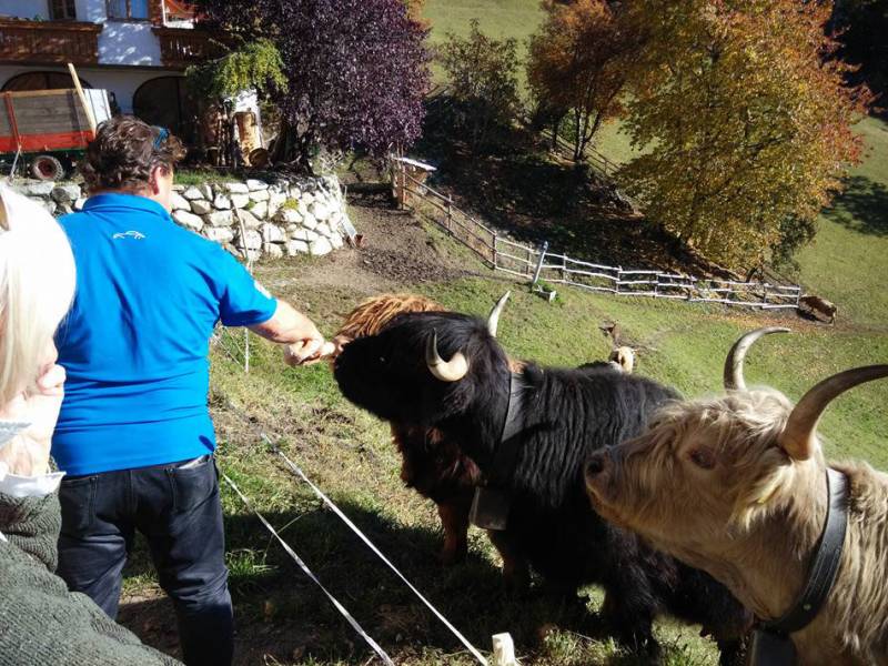 Animali Rastlhof